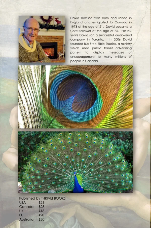 If God, Then... (2024 Edition): Exploring and understanding the attributes of a logical God (Biblical Issues Explored Logically) - Image 2