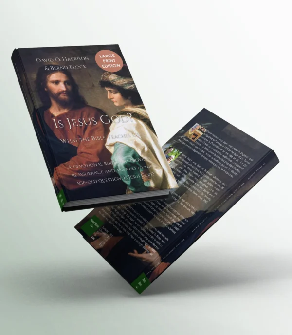 Is Jesus God? What the Bible Teaches Us (Biblical Issues Explored Logically) - Image 3