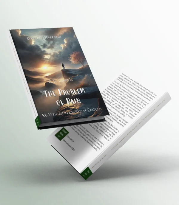 The Problem of Pain (EVERYDAY ENGLISH) - Image 3