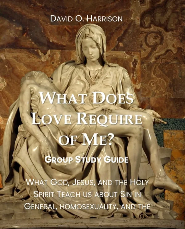 What Does Love Require of Me? What God, Jesus and the Holy Spirit Teach Us About Sin in General, Homosexuality, and the Church's Response to It (Group Study Guide)