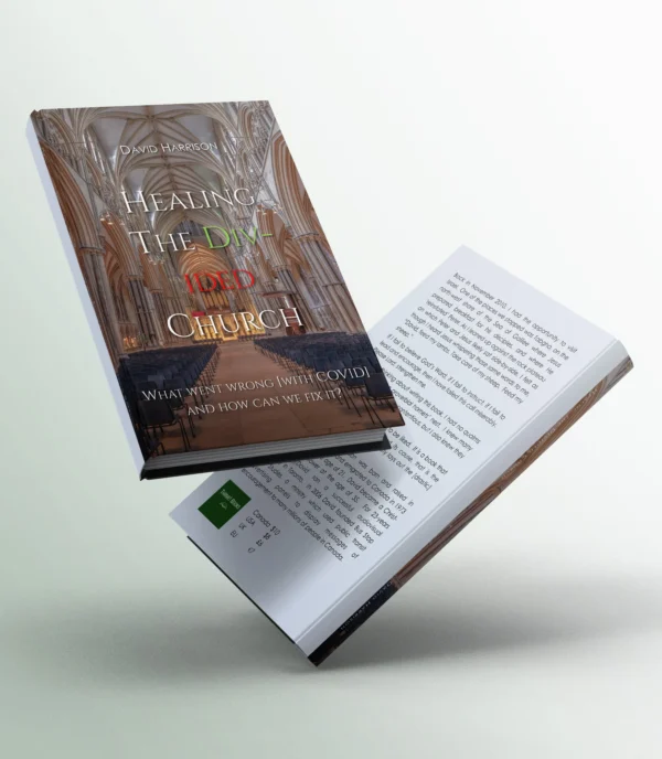 Healing the Divided Church: What Went Wrong and How Can We Fix It? (Biblical Issues Explored Logically) - Image 2