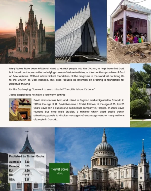 THRIVE! Turning the Church Right-side Up - Group Study Guide - Image 2